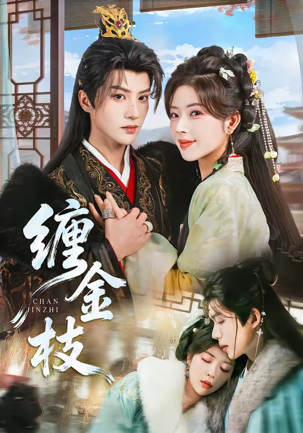 缠金枝(全集)